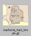 Wachovia Tract in Forsyth County